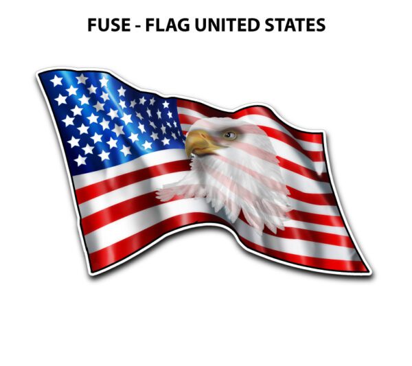 A picture of an american flag with a bald eagle on it.